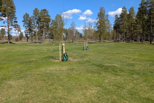 Trädåtgärder för en bättre bana