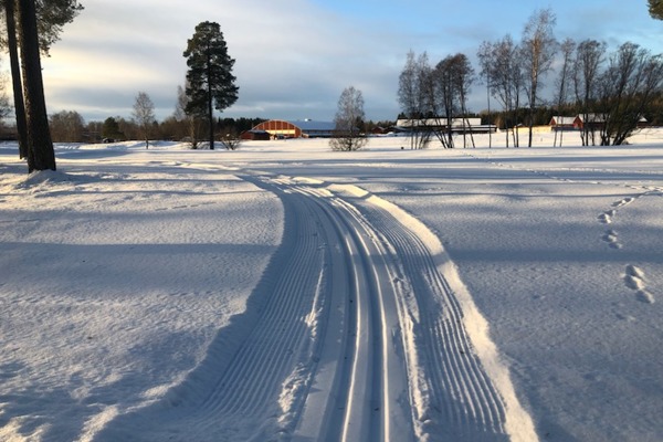 Skidspår på Golfbanan!