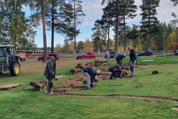 Gräsrull på hål 13 