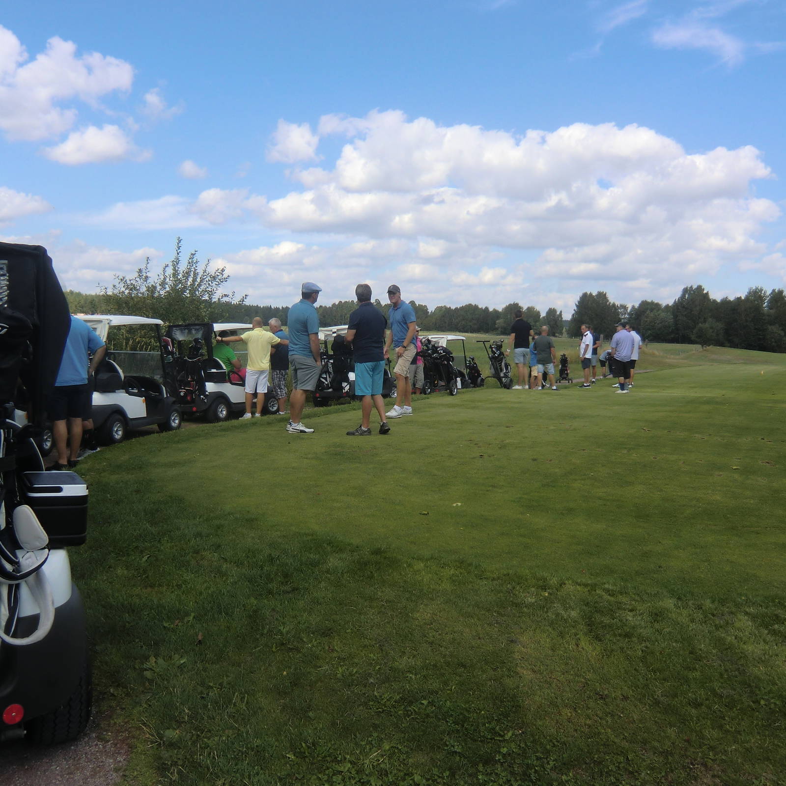 Golfbilar