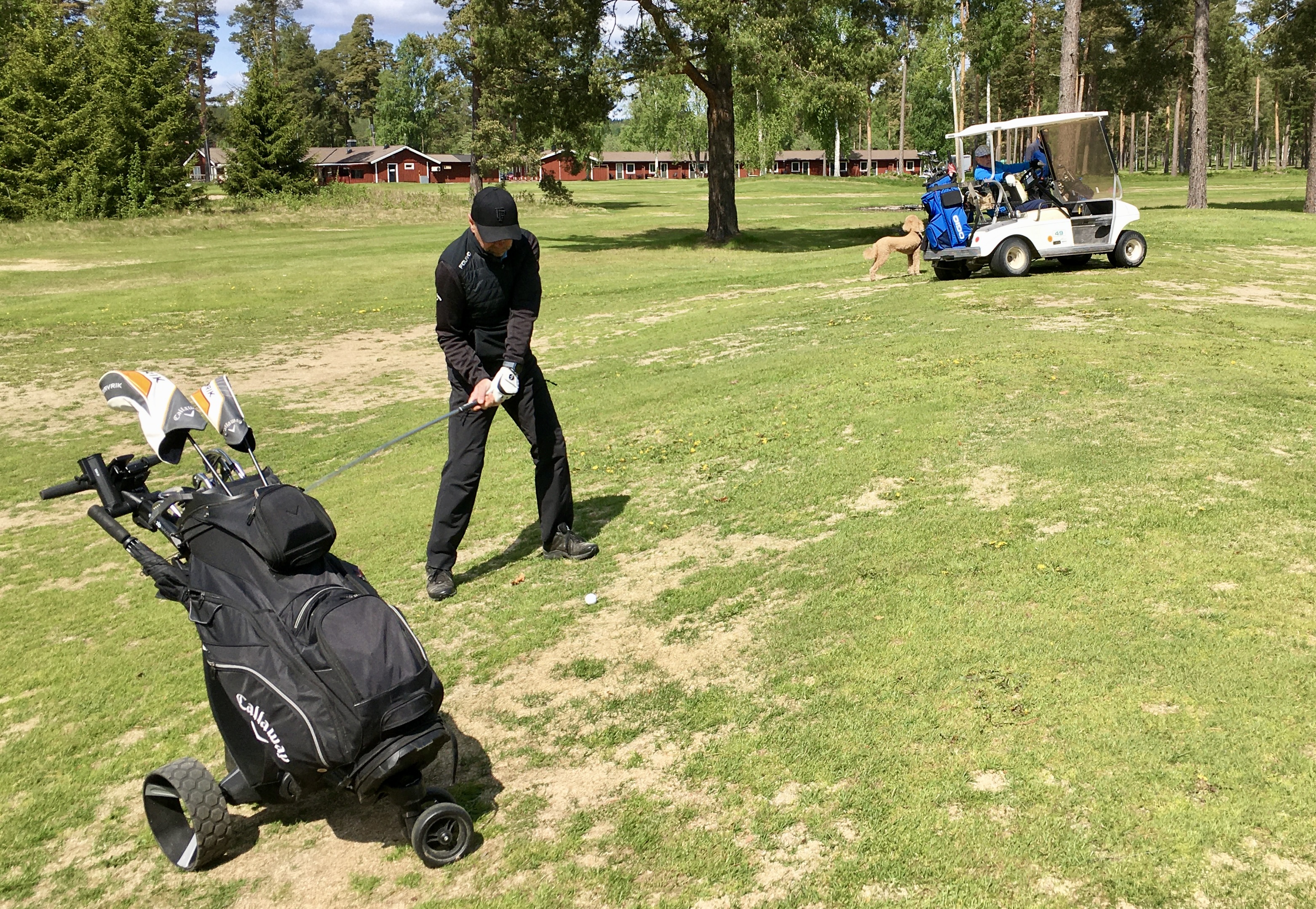 Klubbordförande Philip Hagberg på väg att slå andra slaget på hål 17 på Åke Naléns boll.